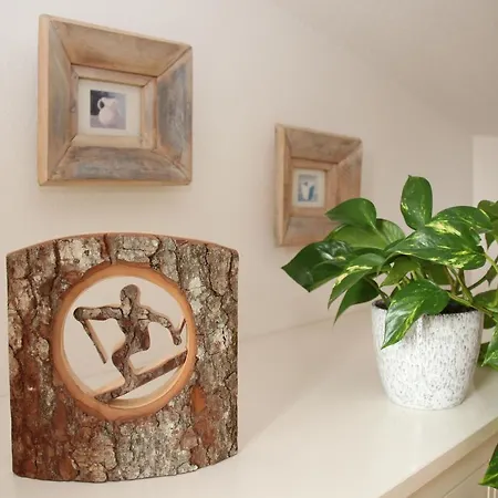 Deluxe Bergsicht - Kirchberg Center Apartment