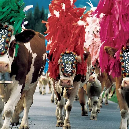 Deluxe Bergsicht - Kirchberg Center *