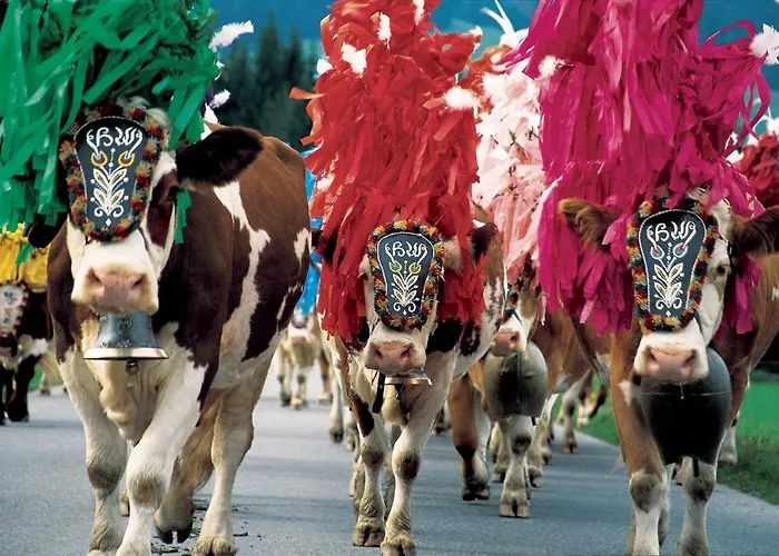 Deluxe Bergsicht - Kirchberg Center *